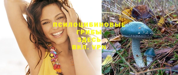 мет Богородицк