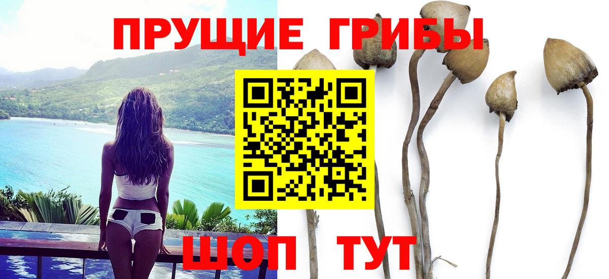 Псилоцибиновые грибы ЛСД  Вход с VPN  Острогожск 